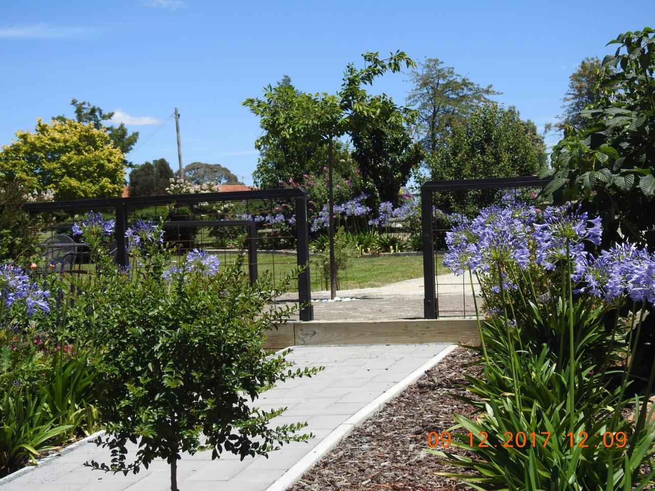 Barklysuites Apartments Rutherglen Exterior foto